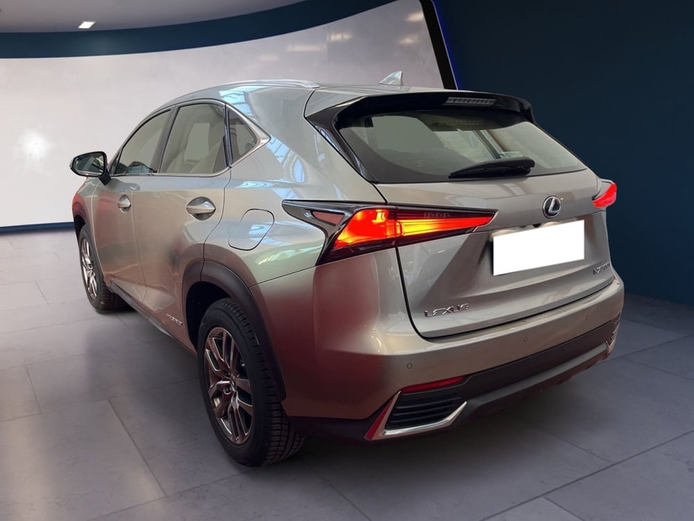 Lexus NX usata a Torino (4)