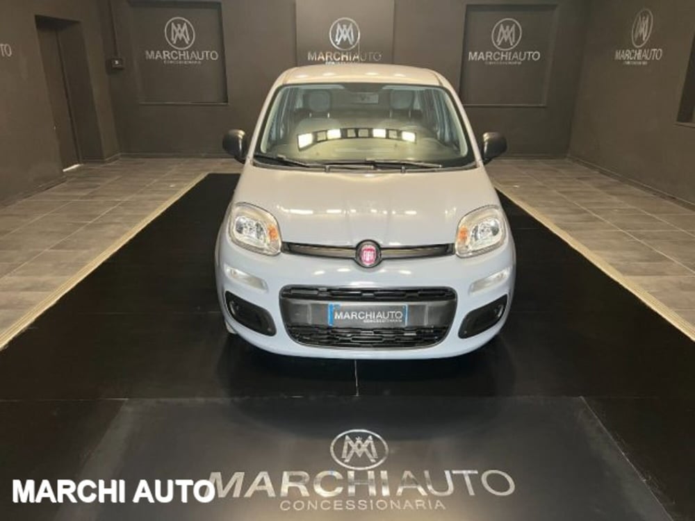 Fiat Panda usata a Perugia (2)