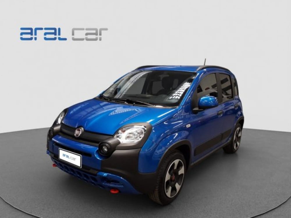 Fiat Panda Cross usata a Torino