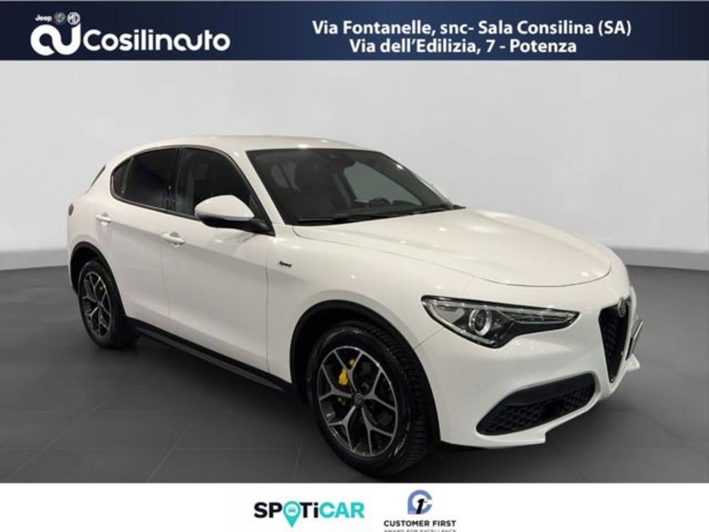 Alfa Romeo Stelvio usata a Salerno (7)