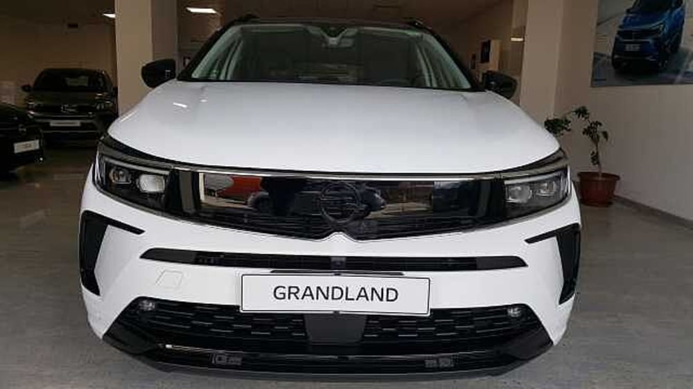 Opel Grandland usata a Messina (2)