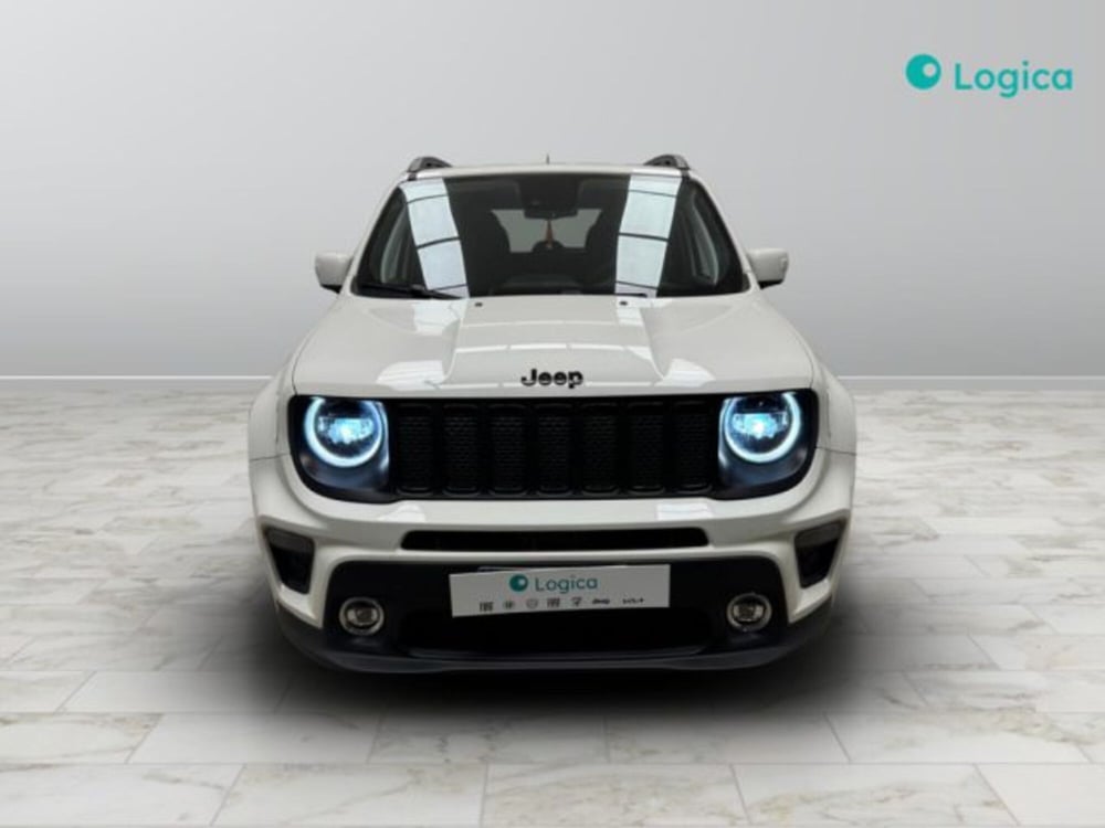 Jeep Renegade usata a Biella (2)