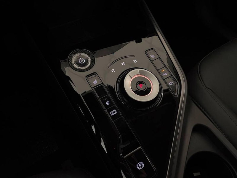 Kia Niro nuova a Torino (9)