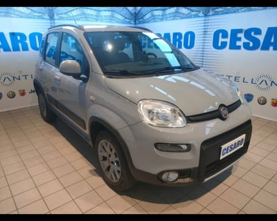 Fiat Panda 0.9 TwinAir Turbo S&amp;S 4x4 Wild del 2018 usata a Pont Saint Martin