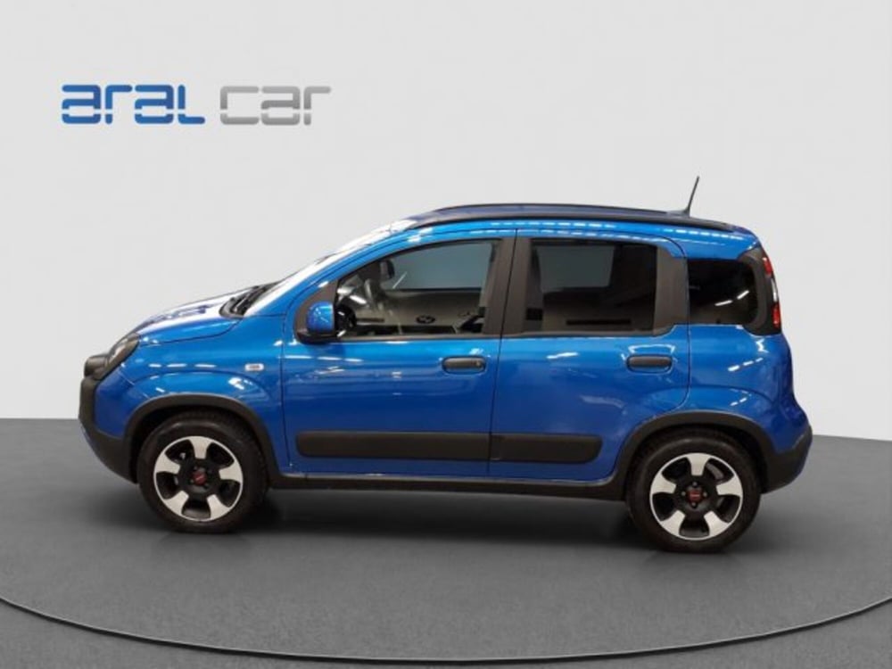 Fiat Panda Cross usata a Torino (3)