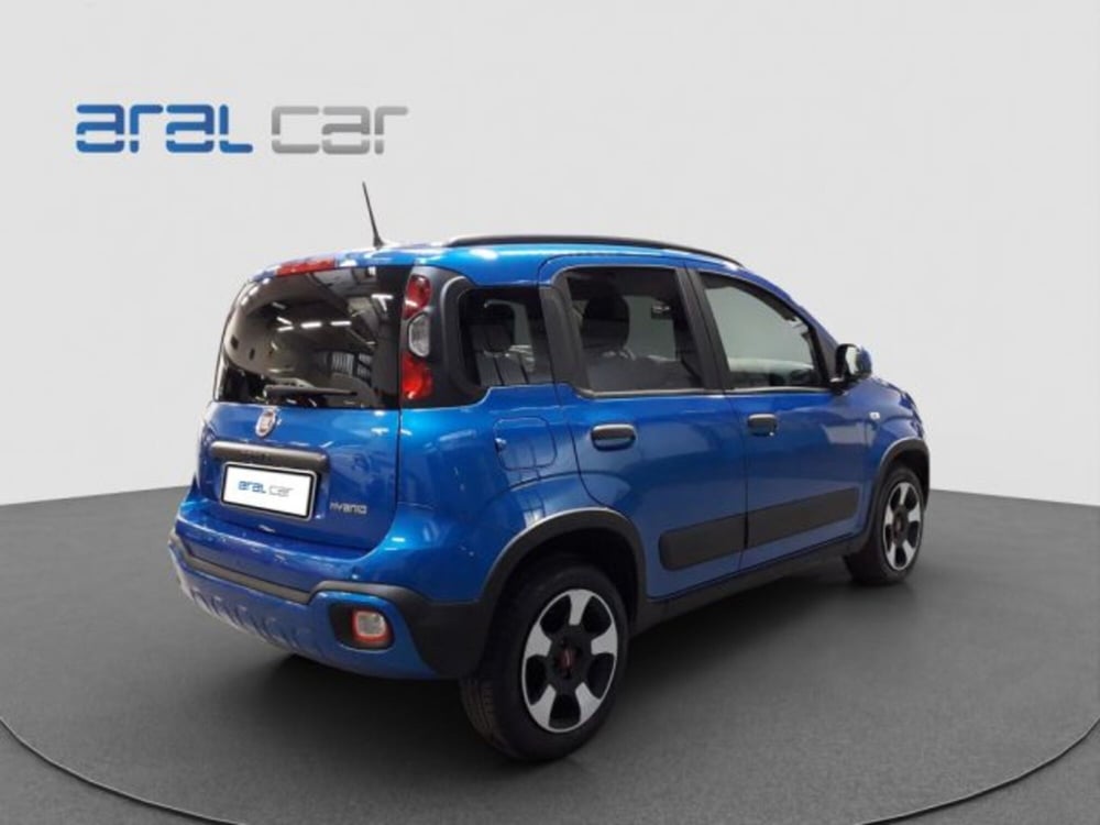 Fiat Panda Cross usata a Torino (6)