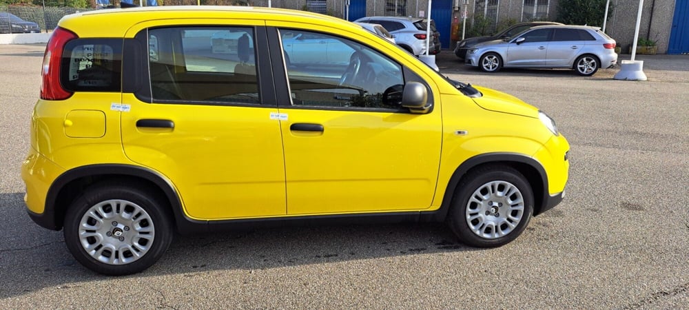 Fiat Panda nuova a Varese (10)