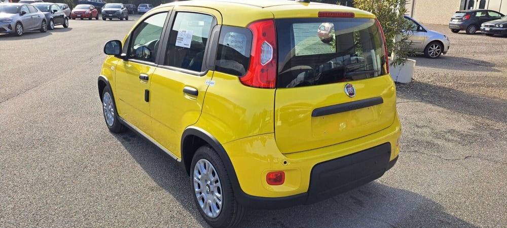 Fiat Panda nuova a Varese (15)