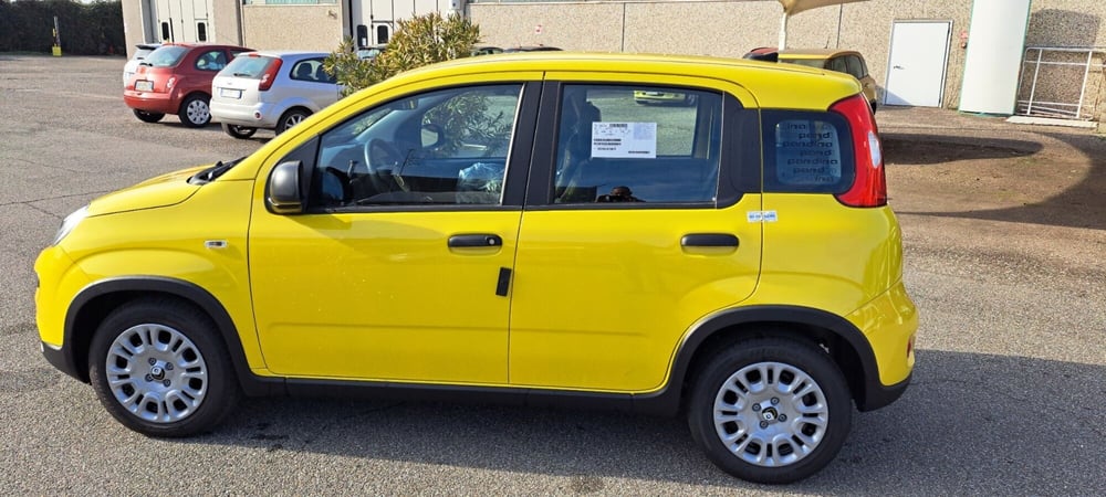 Fiat Panda nuova a Varese (6)