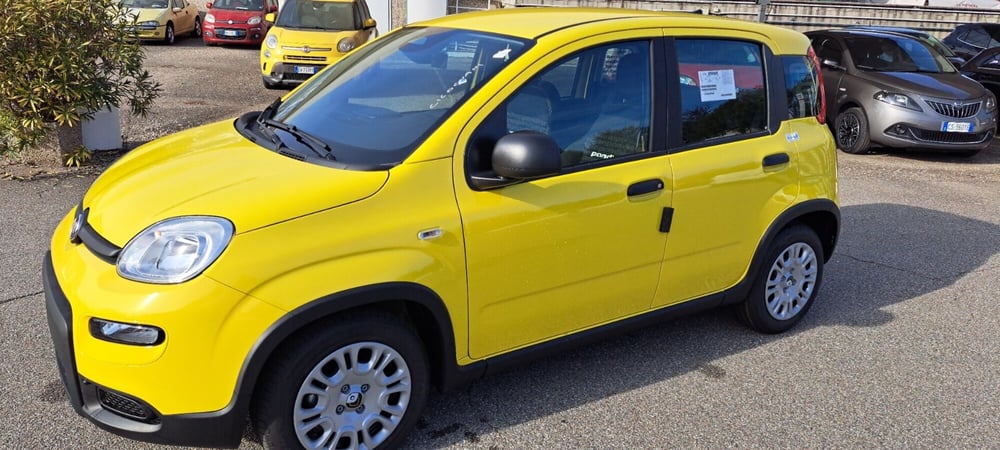 Fiat Panda nuova a Varese (7)