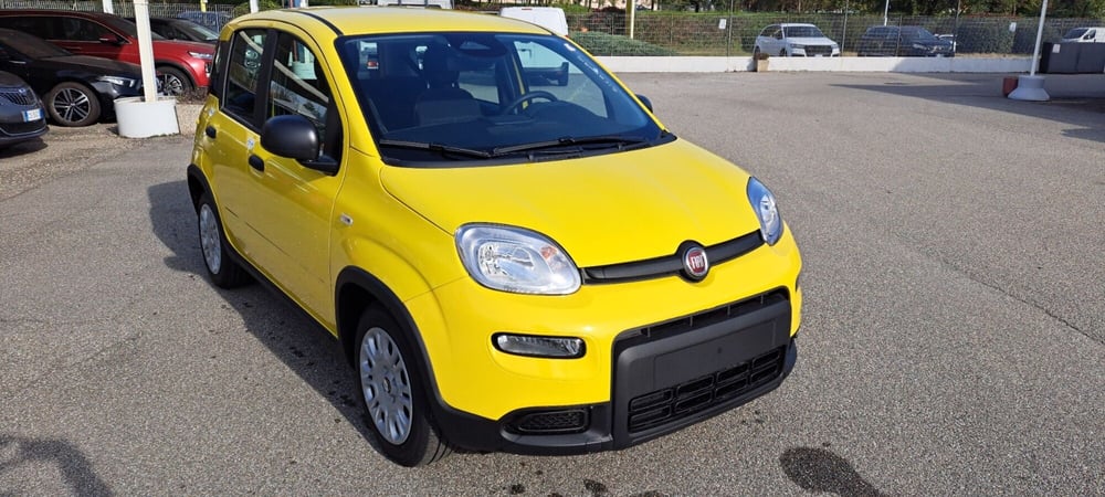 Fiat Panda nuova a Varese (9)