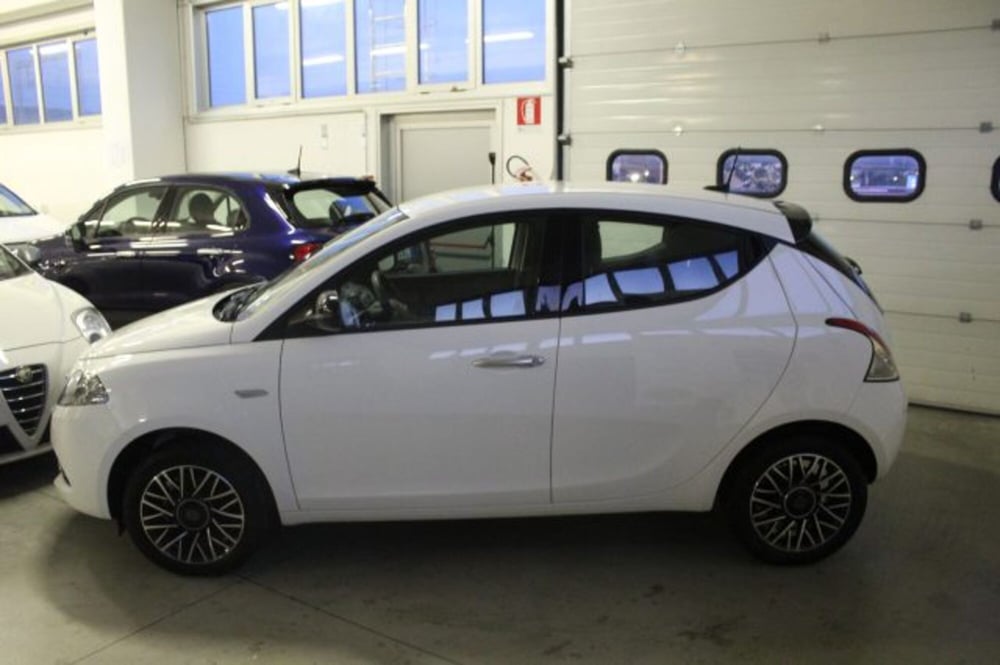 Lancia Ypsilon usata a Terni (3)