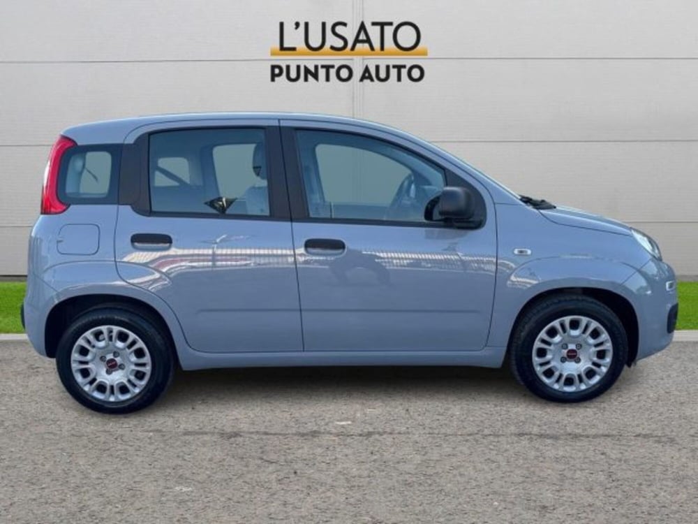 Fiat Panda usata a Ancona (3)