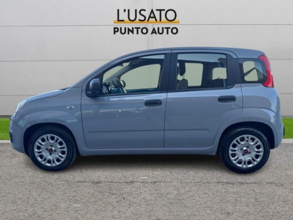 Fiat Panda usata a Ancona (4)