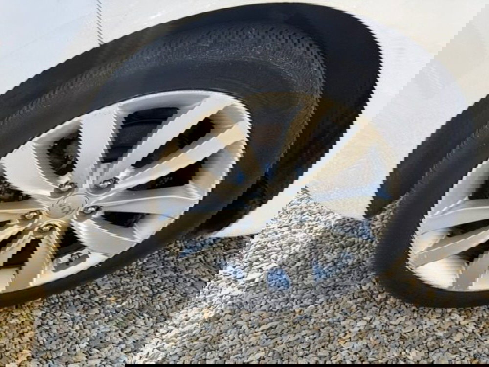 Kia Carens usata a Prato (5)