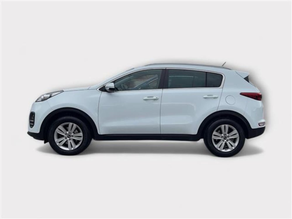 Kia Sportage usata a Livorno (2)