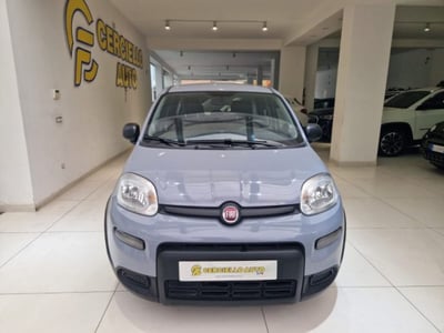 Fiat Panda 1.0 firefly hybrid s&amp;s 70cv 5p.ti del 2022 usata a Somma Vesuviana