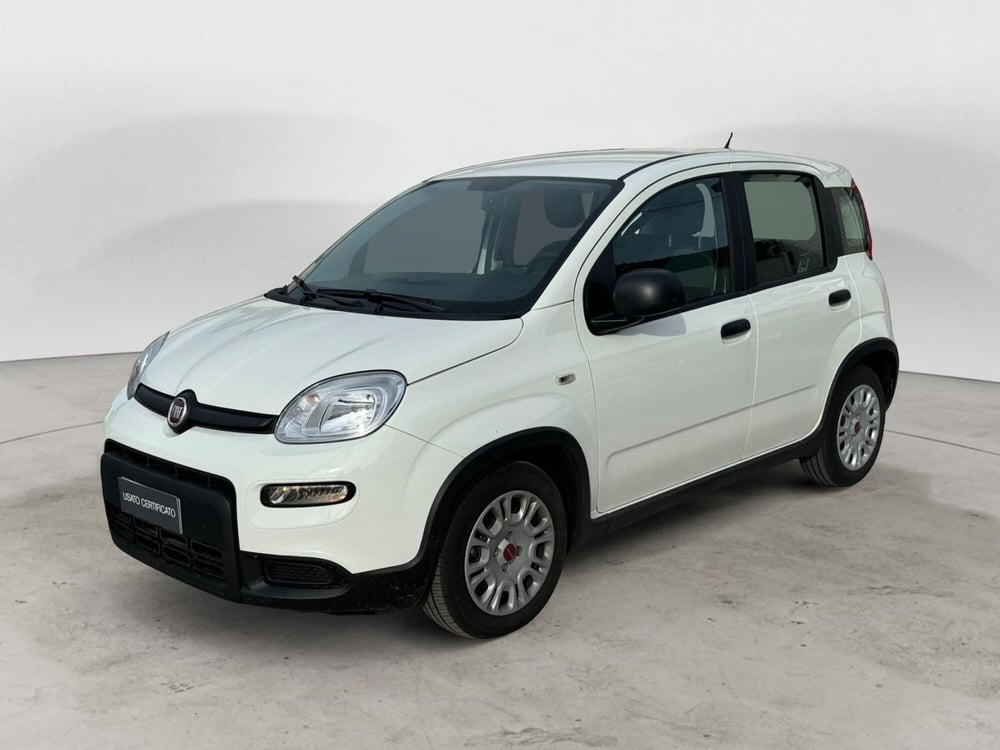 Fiat Panda Cross usata a Bari