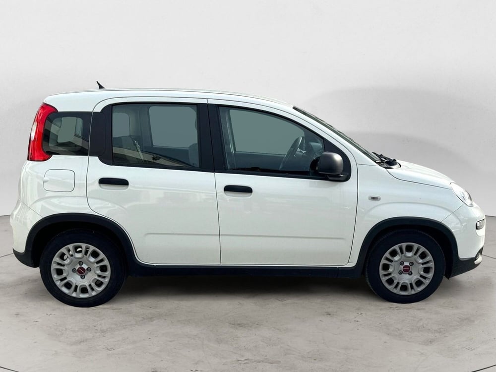 Fiat Panda Cross usata a Bari (5)