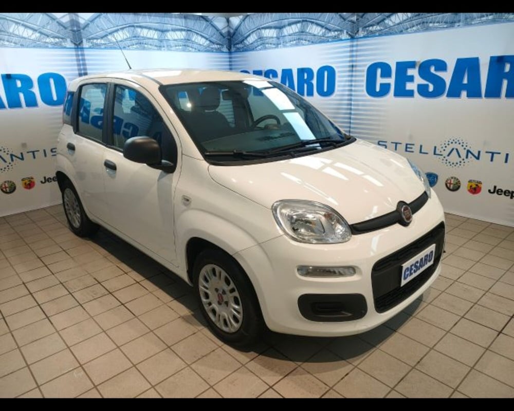 Fiat Panda usata a Aosta (2)