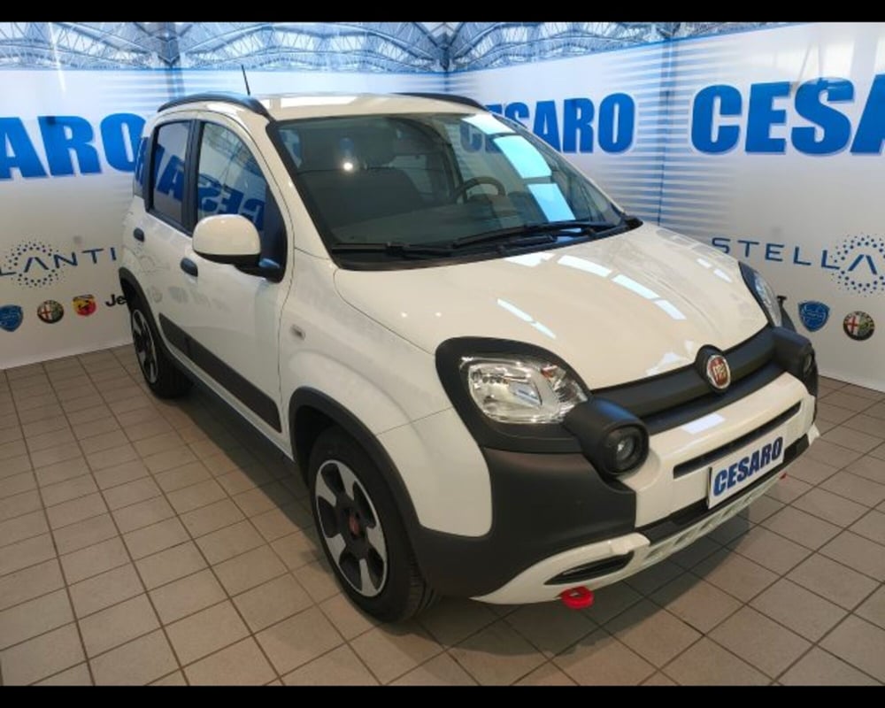 Fiat Panda Cross usata a Aosta (2)