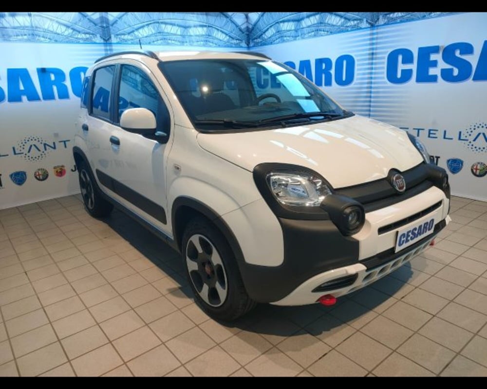 Fiat Panda Cross usata a Aosta (2)