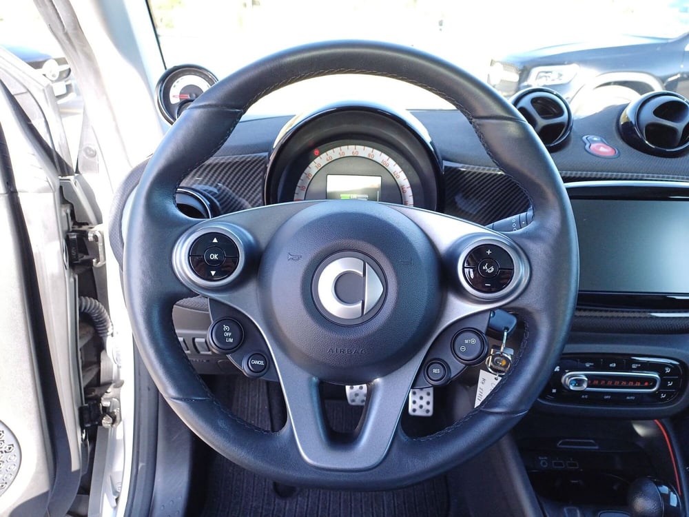 smart Fortwo usata  (15)