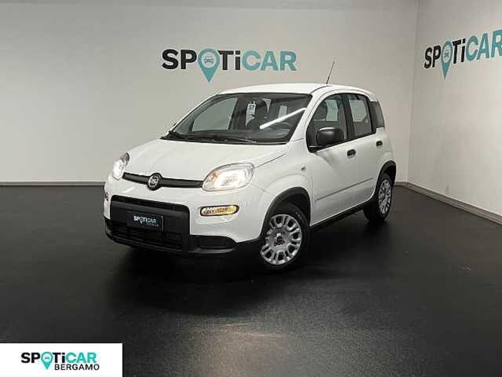 Fiat Panda Cross nuova a Bergamo (12)