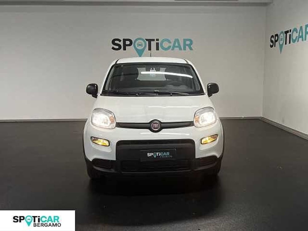 Fiat Panda Cross nuova a Bergamo (2)