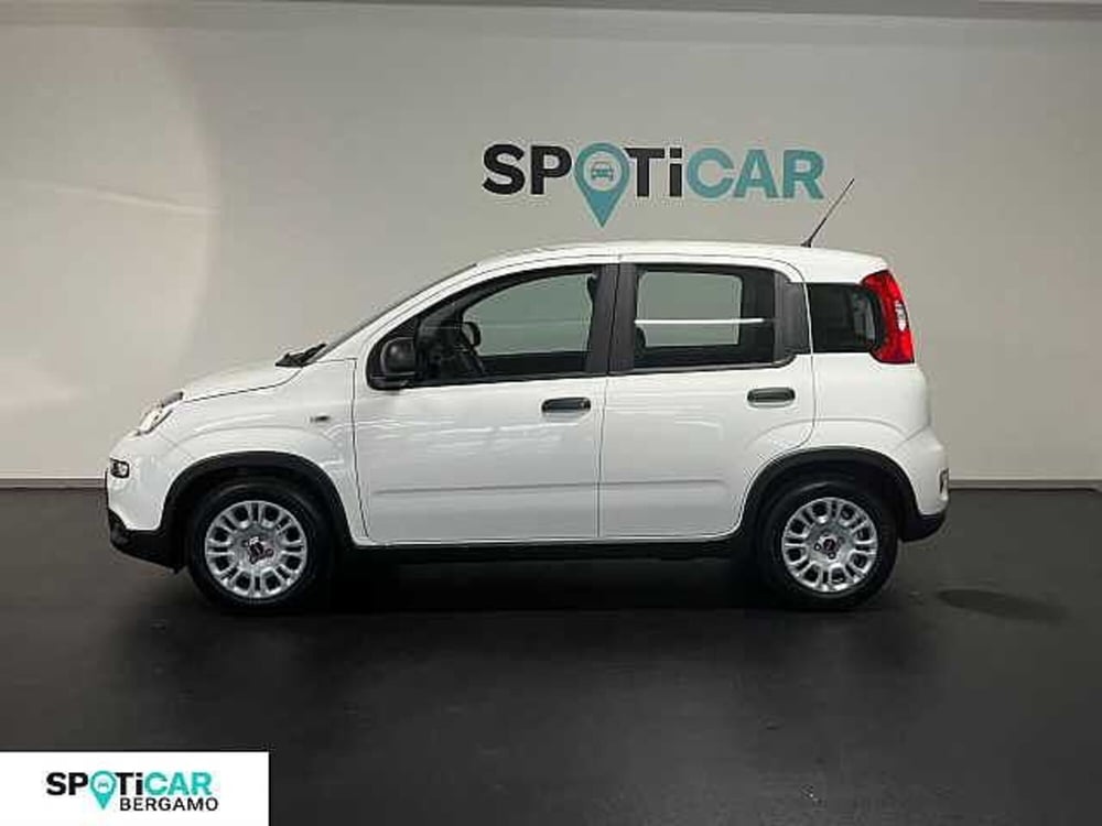 Fiat Panda Cross nuova a Bergamo (3)