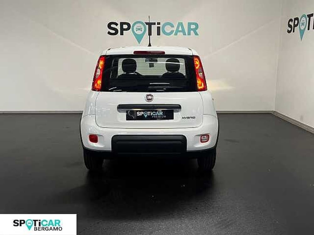 Fiat Panda Cross nuova a Bergamo (5)