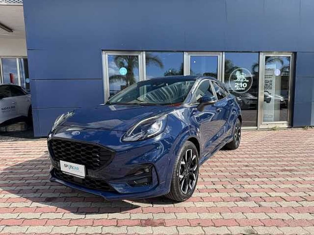 Ford Puma usata a Vibo Valentia