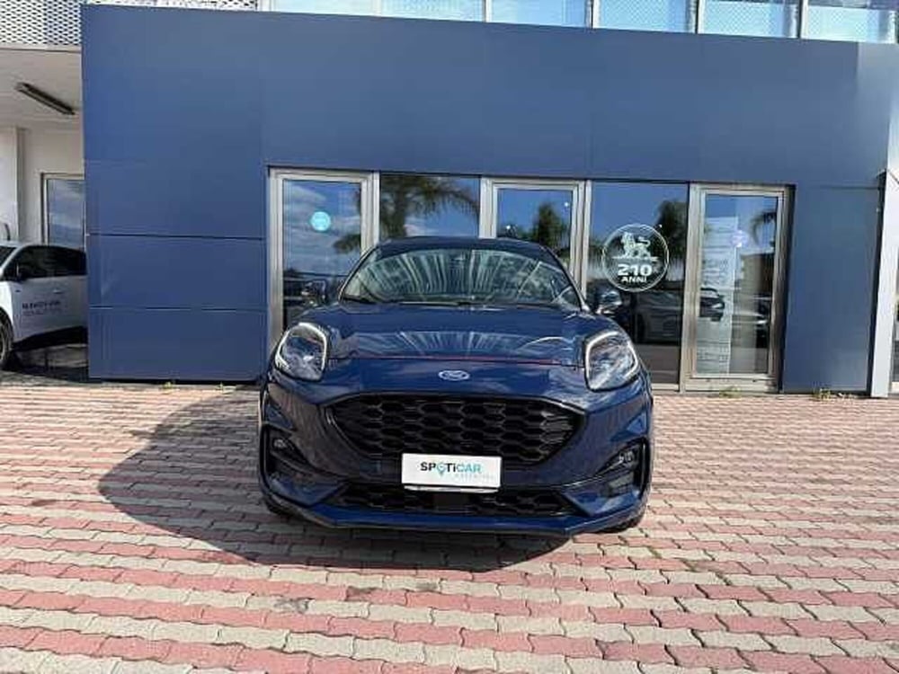 Ford Puma usata a Vibo Valentia (2)