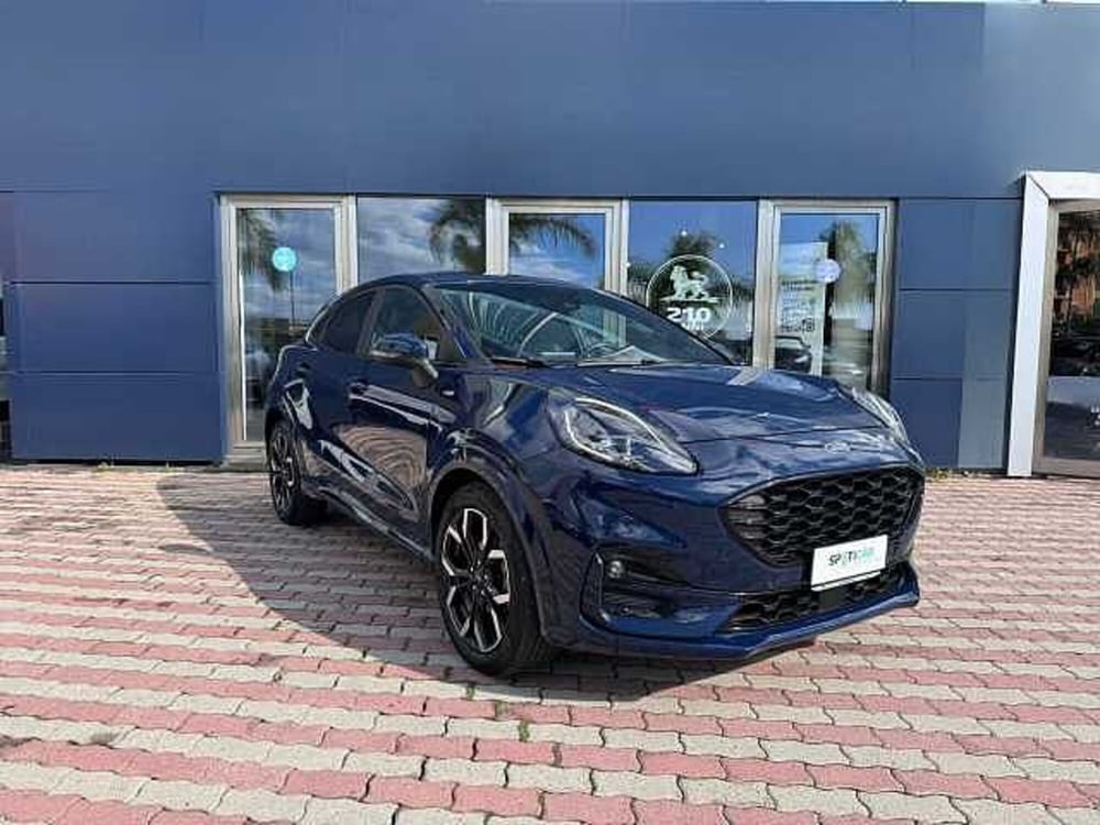 Ford Puma usata a Vibo Valentia (3)