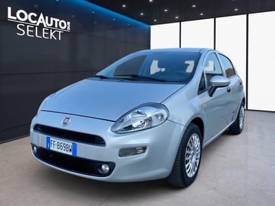 Fiat Punto 1.2 8V 5 porte Street del 2016 usata a Torino
