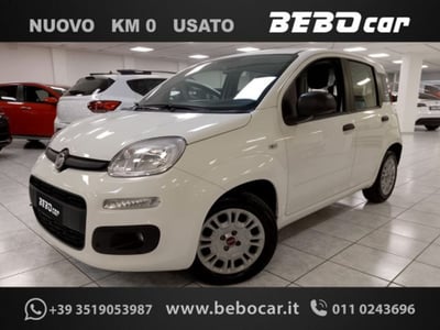 Fiat Panda 1.2 EasyPower del 2020 usata a Collegno