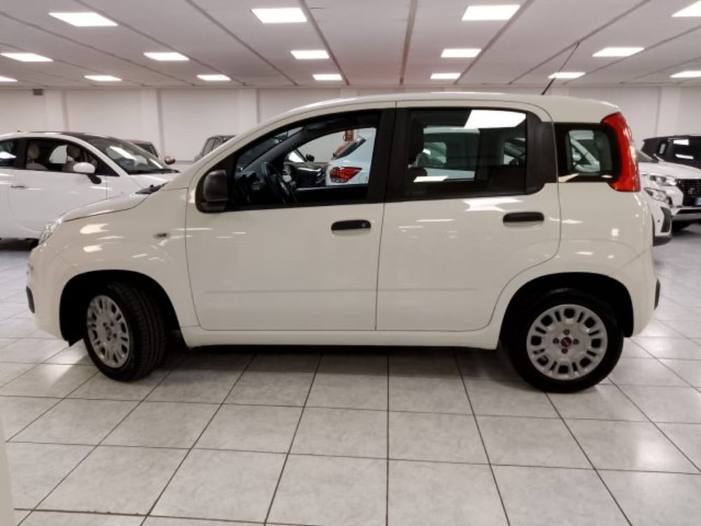 Fiat Panda usata a Torino (2)