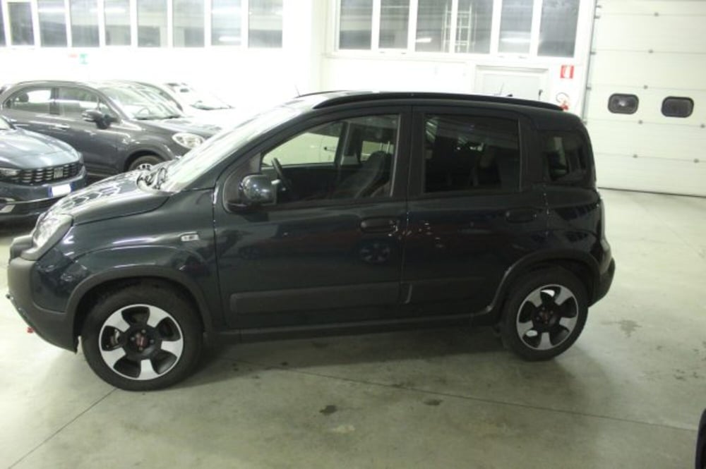 Fiat Panda Cross usata a Terni (3)