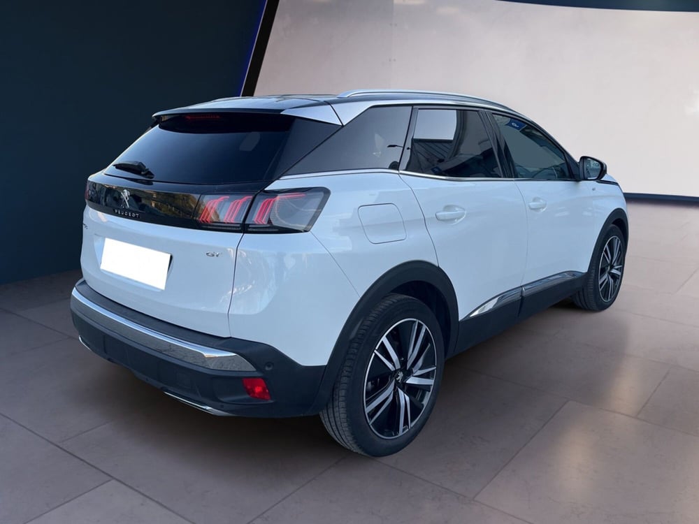 Peugeot 3008 usata a Torino (4)