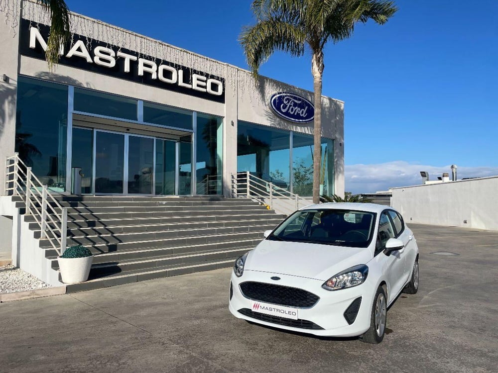 Ford Fiesta usata a Lecce