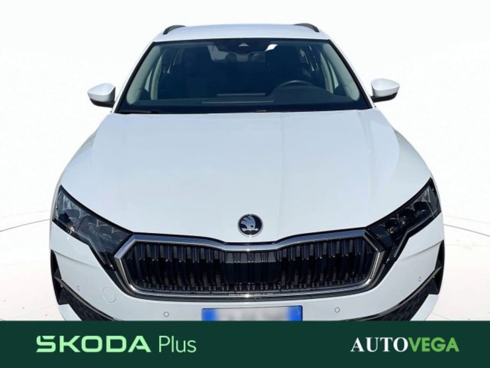 Skoda Octavia Station Wagon usata a Vicenza (6)