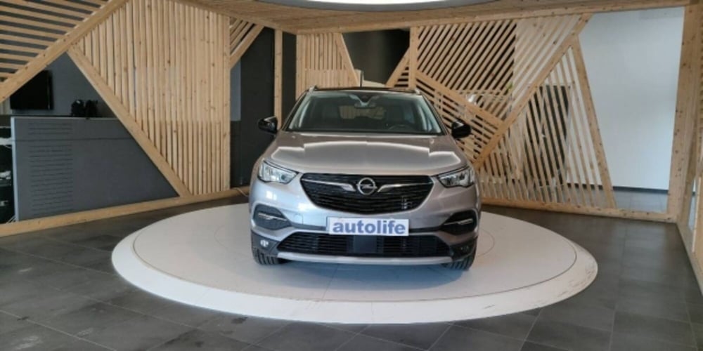 Opel Grandland X usata a Catanzaro (13)