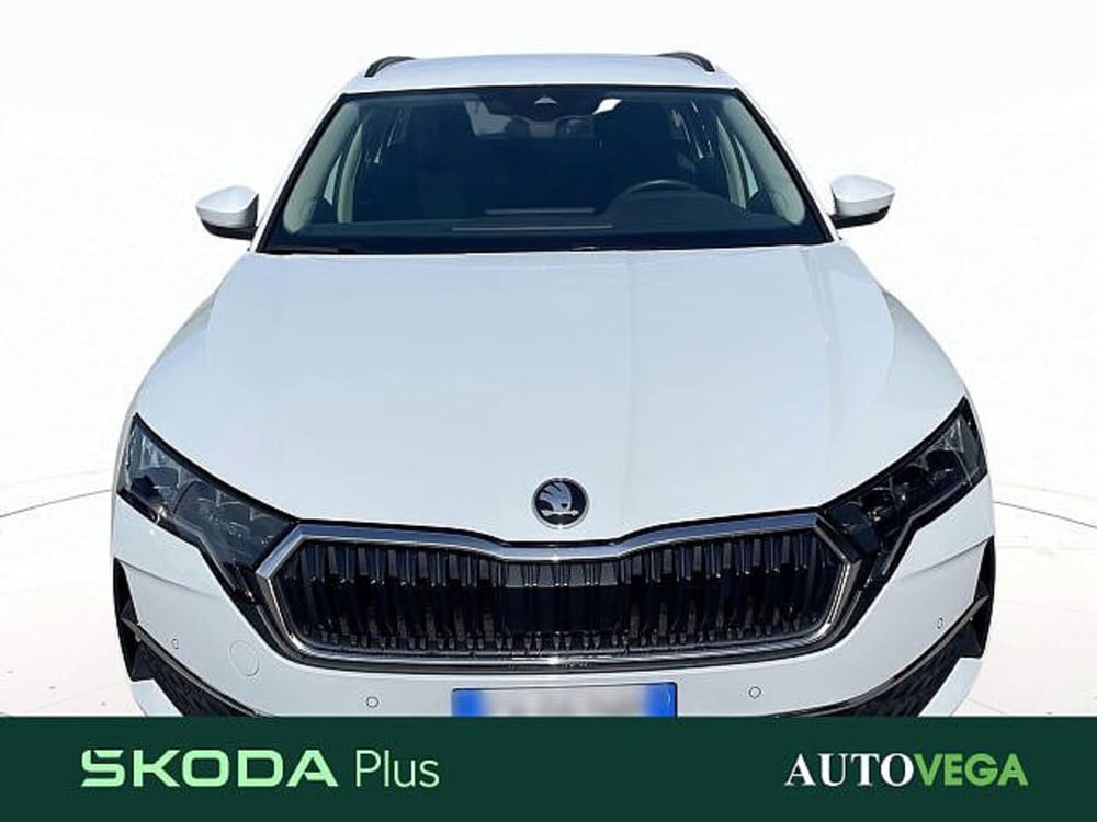 Skoda Octavia Station Wagon usata a Vicenza (6)