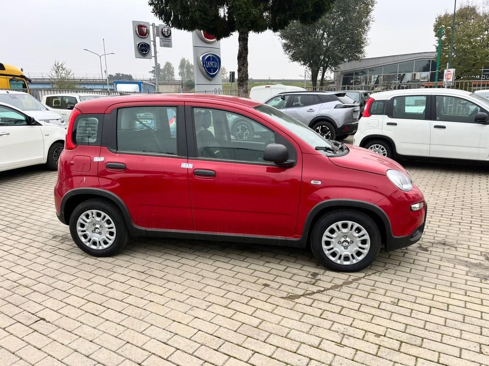 Fiat Panda Cross nuova a Milano (4)