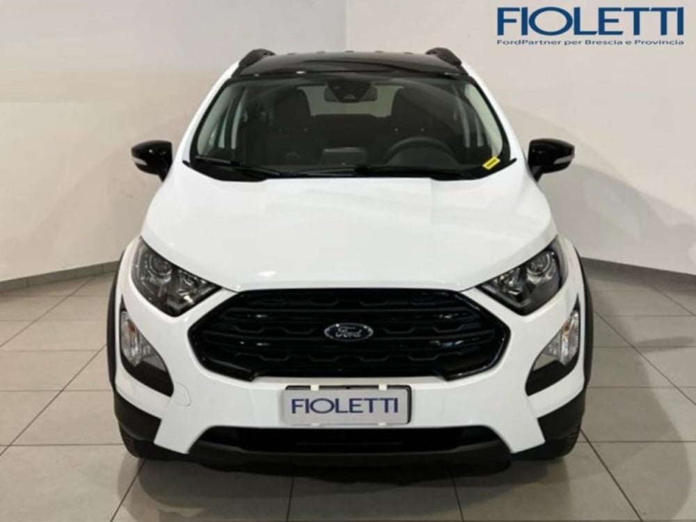 Ford EcoSport usata a Brescia (3)