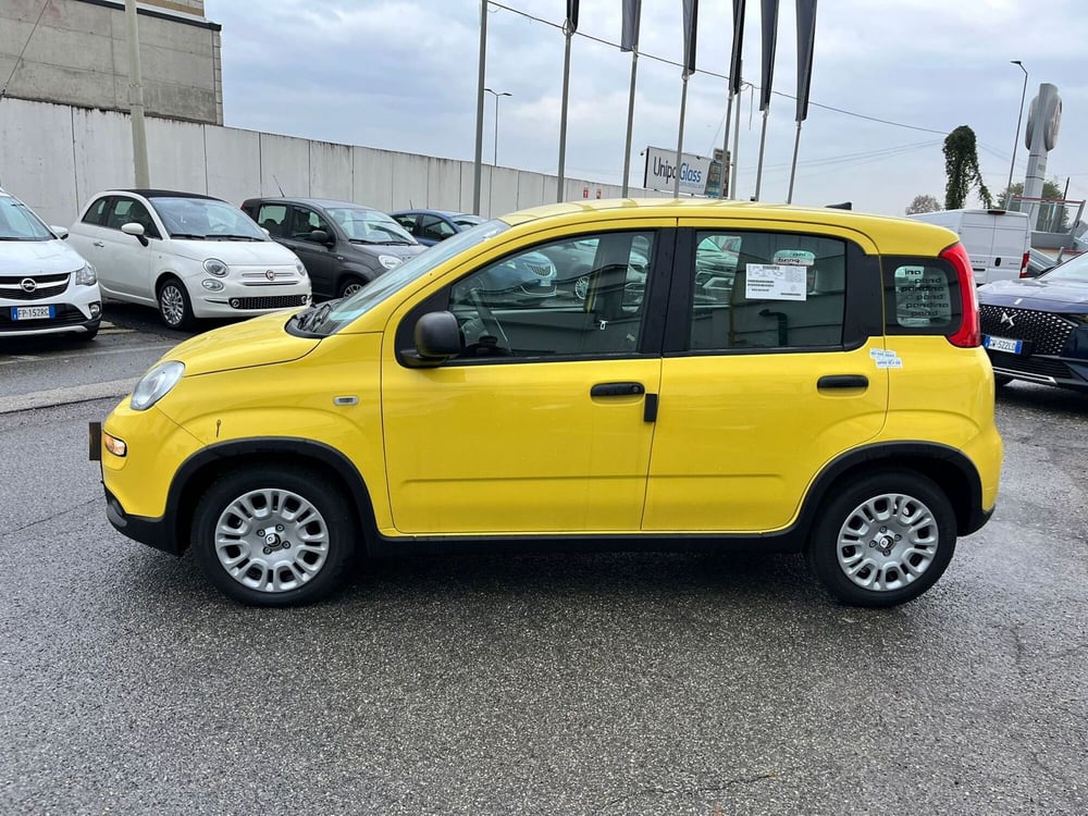 Fiat Panda Cross nuova a Milano (3)