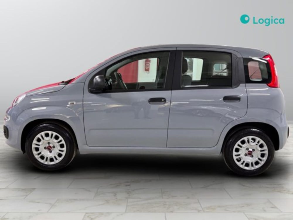 Fiat Panda usata a Torino (6)