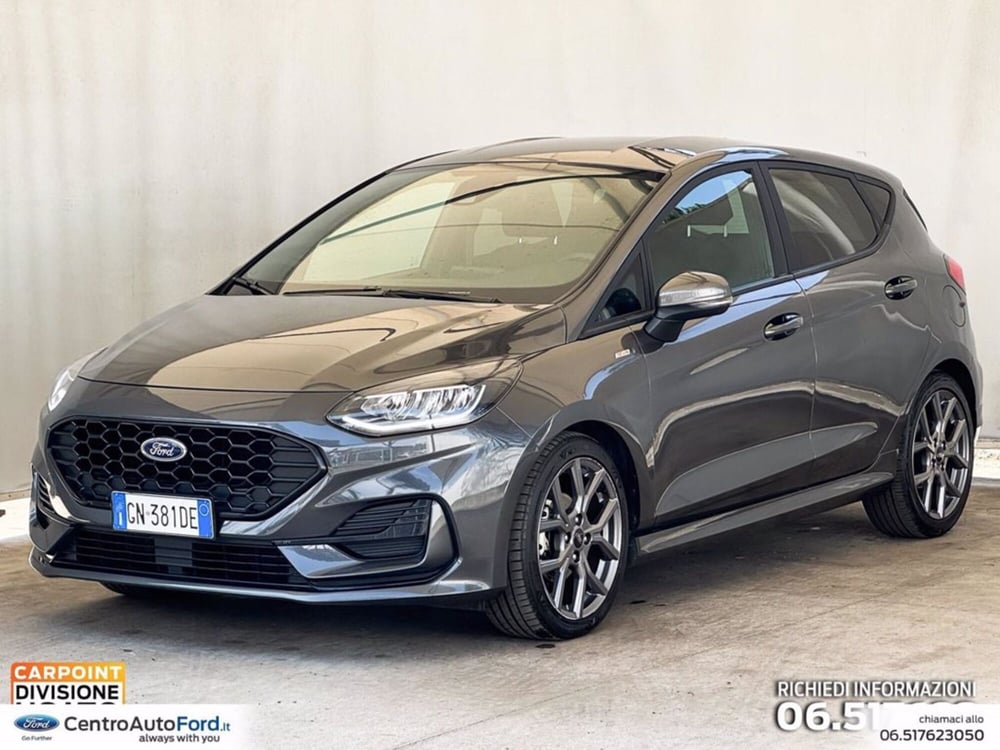 Ford Fiesta usata a Roma