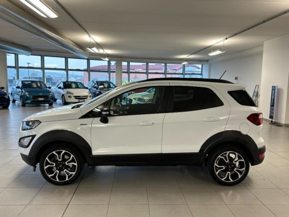 Ford EcoSport usata a Cuneo (4)