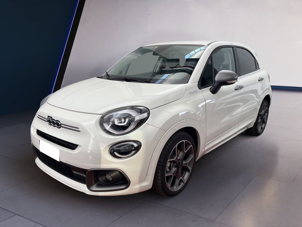 Fiat 500X usata a Torino (3)